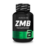 ZMB Biotech Usa