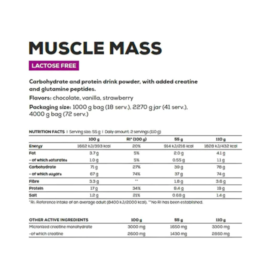 Muscle Mass 4000g Biotech USA